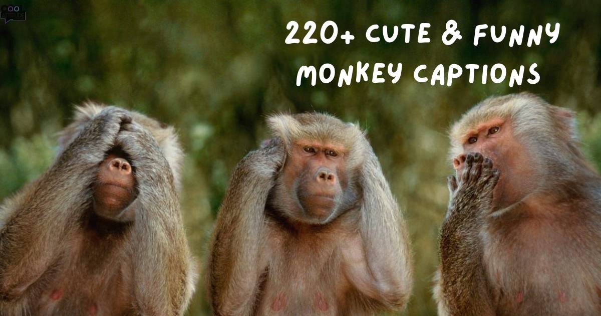 220+ Cute & Funny Monkey Captions in 2025